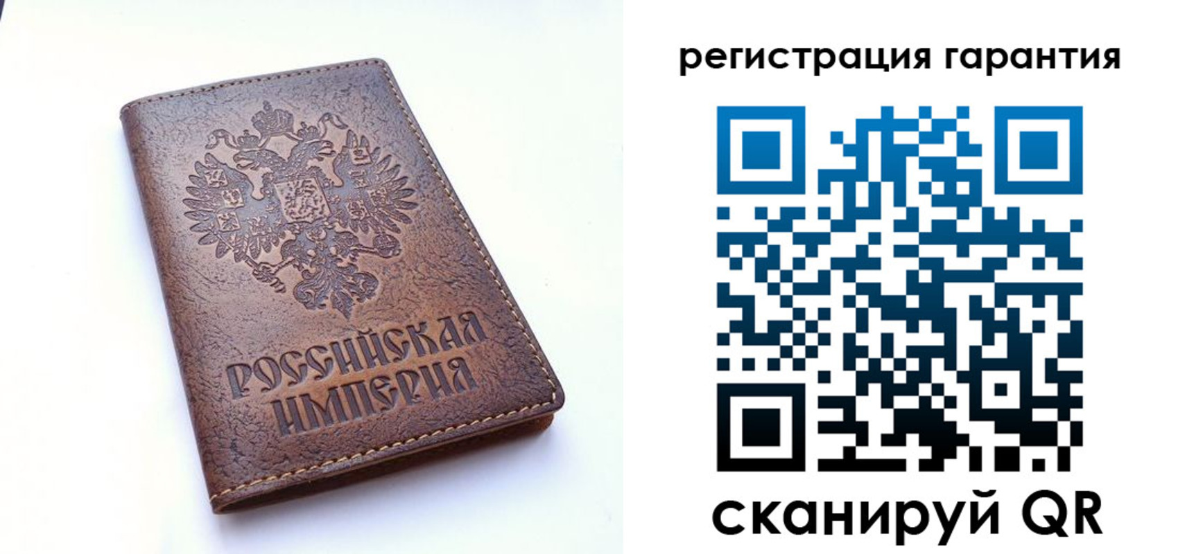 прописка регистрация в Курской области